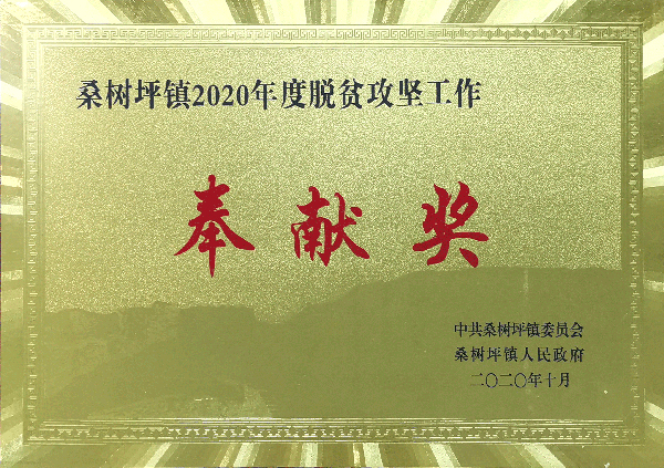 2020奉献奖.jpg